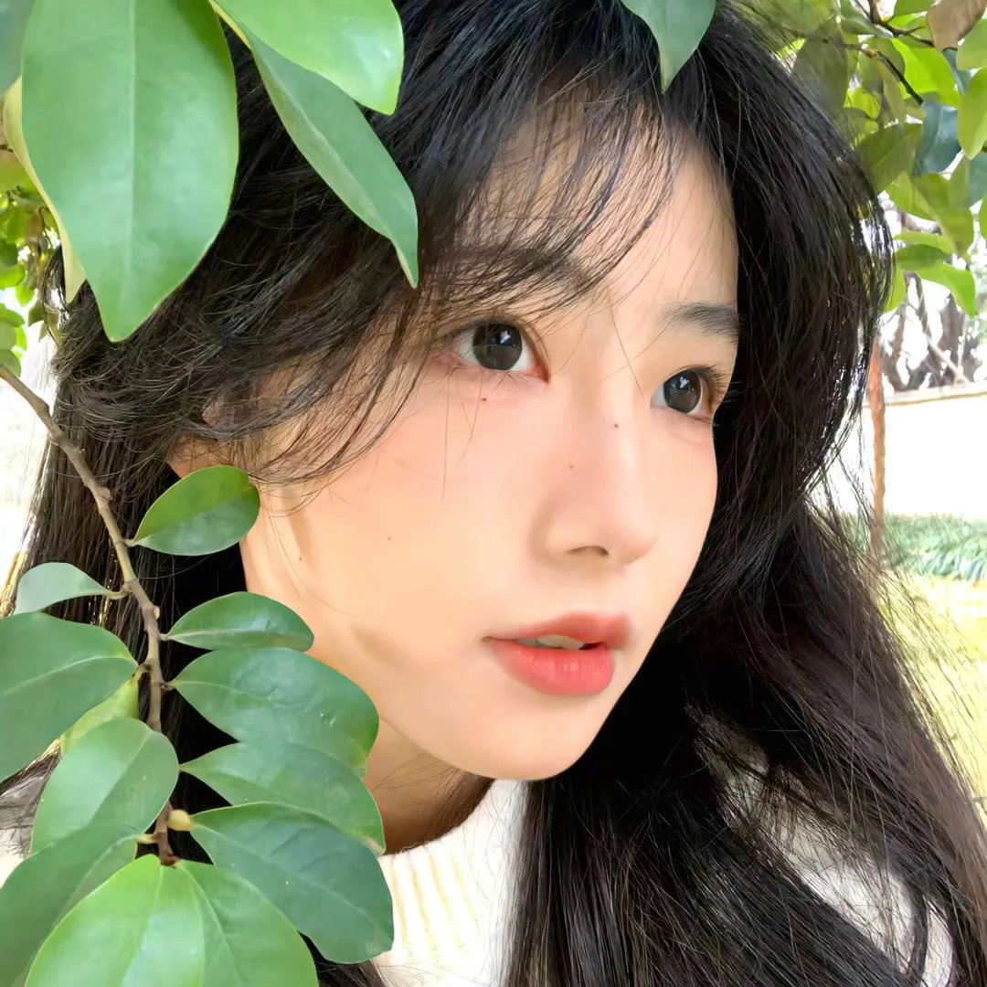 我手心里的玫瑰